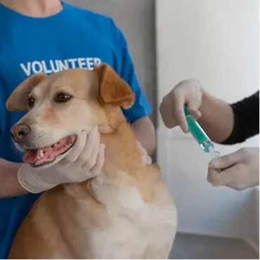 View products and services in Veterinary Hospitals Picture for constellation Veterinary Hospitals