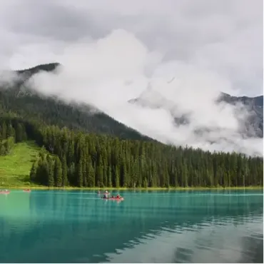 View products and services in Forestry, Fisheries and the Environment Picture for constellation Forestry, Fisheries and the Environment